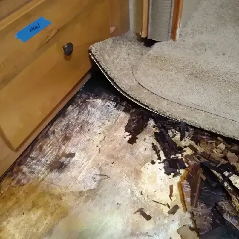 Wood Floor Water Damage in Trenton, FL